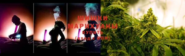 прущие грибы Михайловка