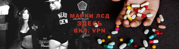 прущие грибы Михайловка