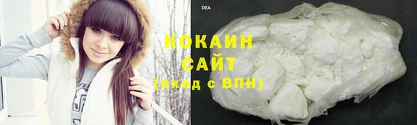 прущие грибы Михайловка