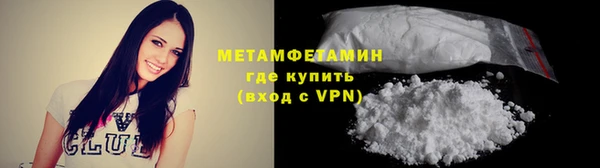 прущие грибы Михайловка