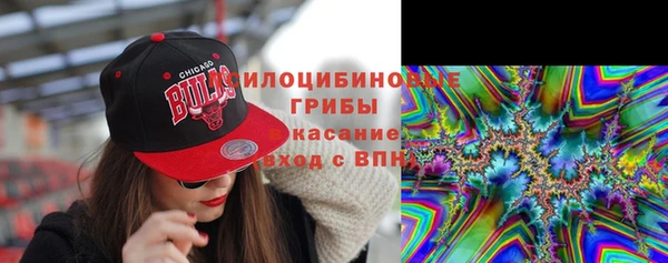 прущие грибы Михайловка