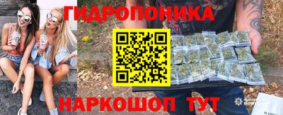 спайс Кингисепп