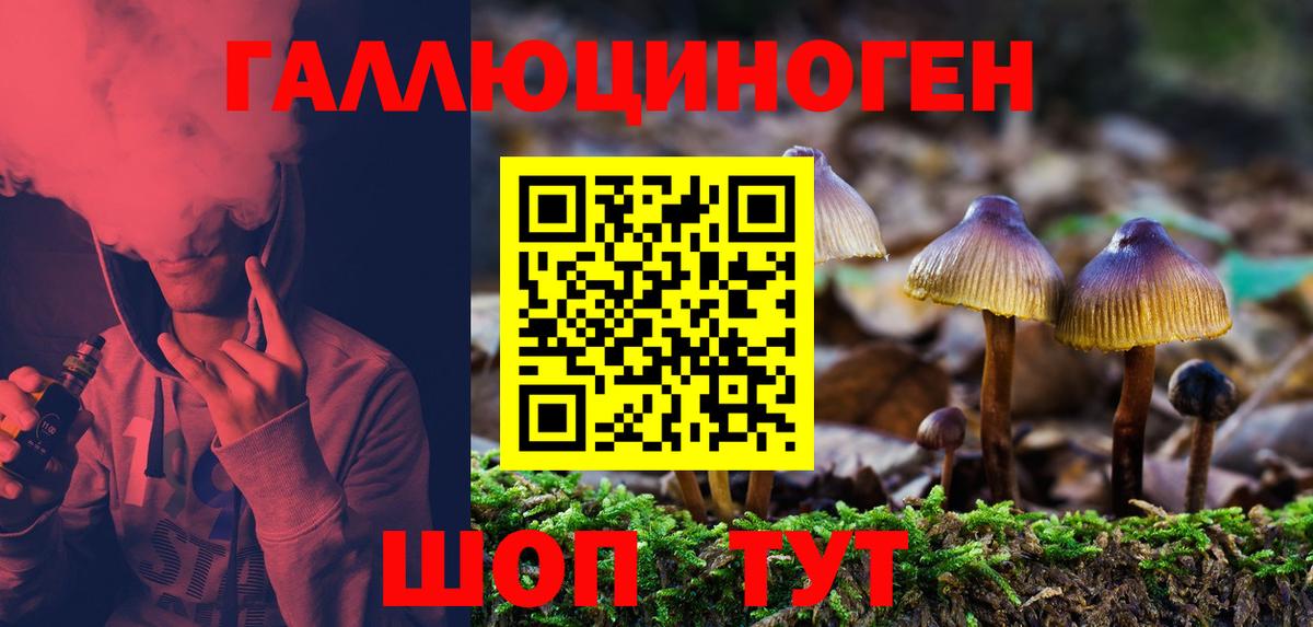 Псилоцибиновые грибы прущие грибы  Псилоцибиновые грибы MAGIC MUSHROOMS  Мелеуз 