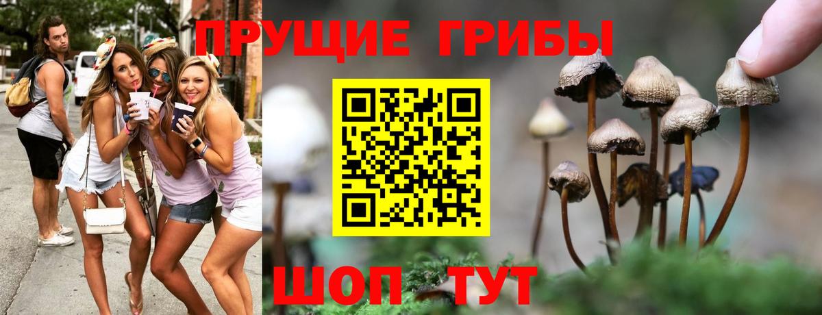 Мелеуз  Псилоцибиновые грибы мицелий  Вход с VPN 